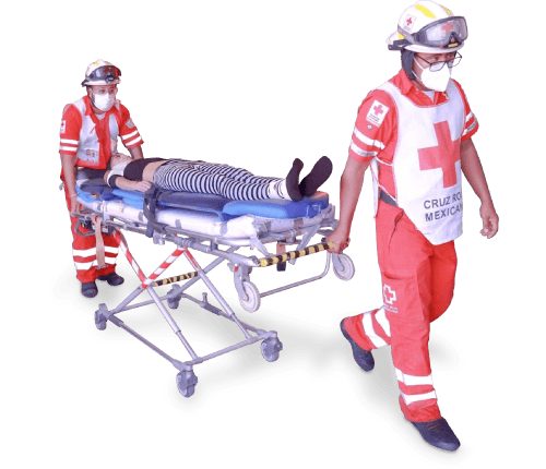 Servicios asistenciales